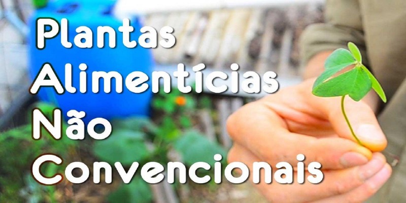 Plantas Alimentícias Não Convencionais (PANCs)