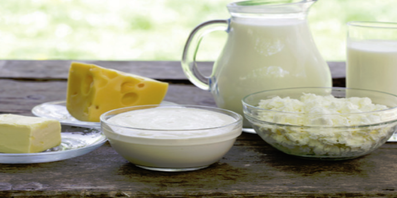 Queijo, Requeijão, Leite e Manteiga veganos - Receitas