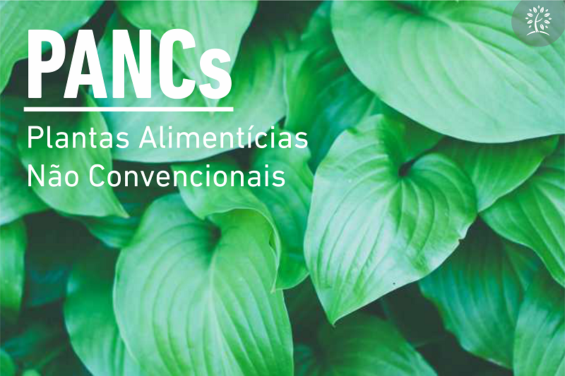 Plantas Alimentícias Não Convencionais (PANCs)