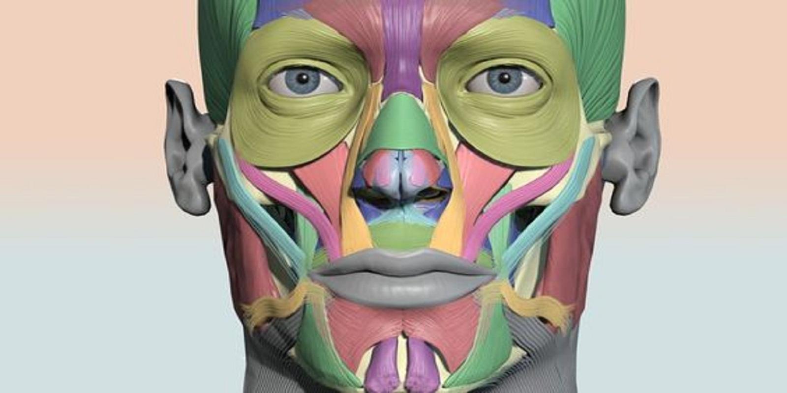 Estudo de Caso - Paralisia Facial